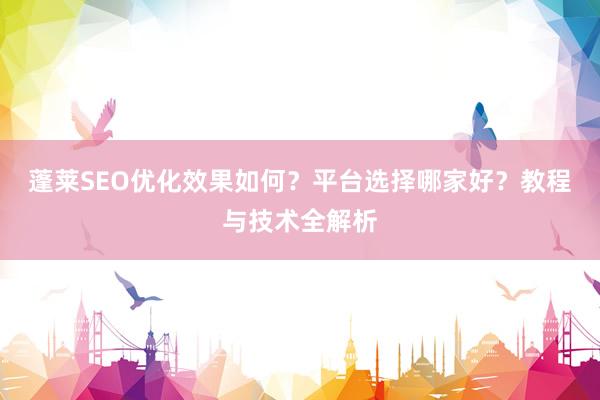 蓬莱SEO优化效果如何？平台选择哪家好？教程与技术全解析