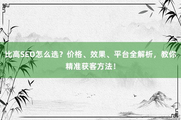 比高SEO怎么选？价格、效果、平台全解析，教你精准获客方法！