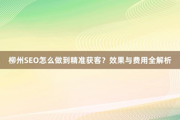 柳州SEO怎么做到精准获客？效果与费用全解析