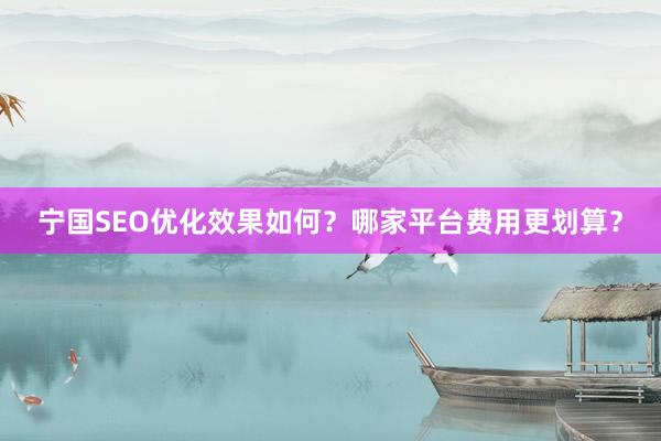 宁国SEO优化效果如何？哪家平台费用更划算？