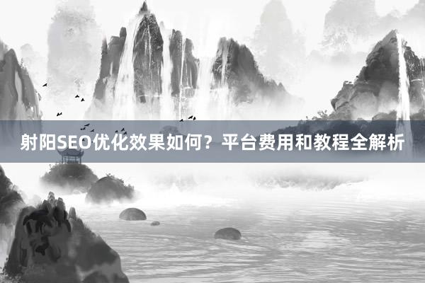 射阳SEO优化效果如何？平台费用和教程全解析