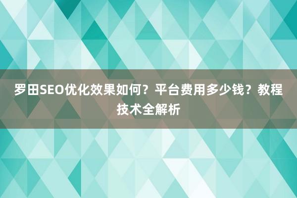 罗田SEO优化效果如何？平台费用多少钱？教程技术全解析