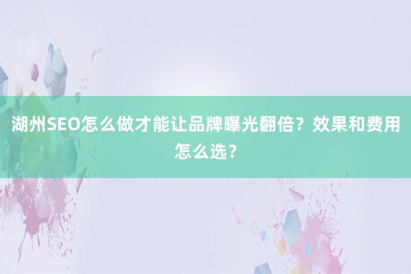 湖州SEO怎么做才能让品牌曝光翻倍？效果和费用怎么选？