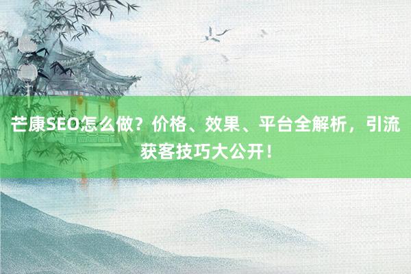 芒康SEO怎么做？价格、效果、平台全解析，引流获客技巧大公开！