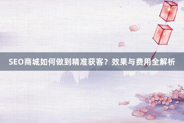 SEO商城如何做到精准获客？效果与费用全解析