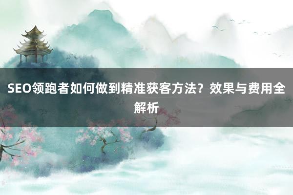 SEO领跑者如何做到精准获客方法？效果与费用全解析