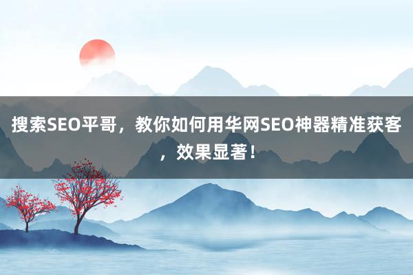 搜索SEO平哥，教你如何用华网SEO神器精准获客，效果显著！