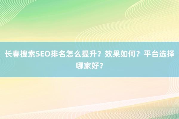 长春搜索SEO排名怎么提升？效果如何？平台选择哪家好？