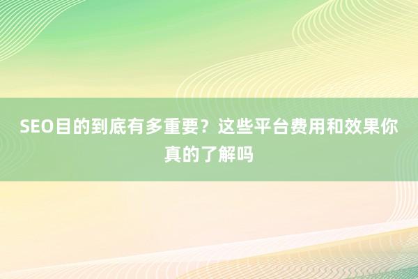 SEO目的到底有多重要？这些平台费用和效果你真的了解吗