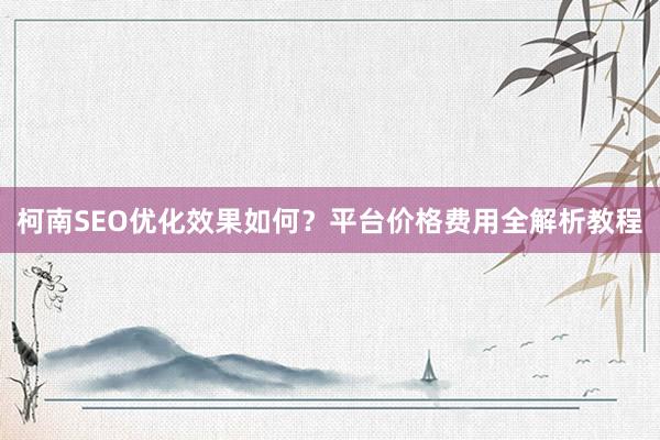 柯南SEO优化效果如何？平台价格费用全解析教程