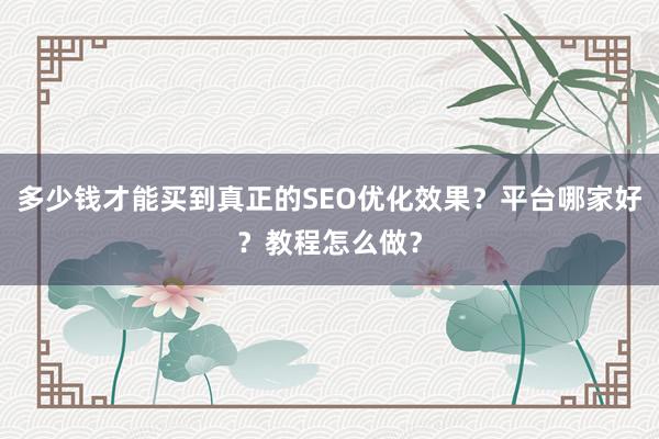 多少钱才能买到真正的SEO优化效果？平台哪家好？教程怎么做？