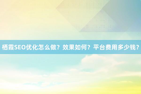 栖霞SEO优化怎么做？效果如何？平台费用多少钱？
