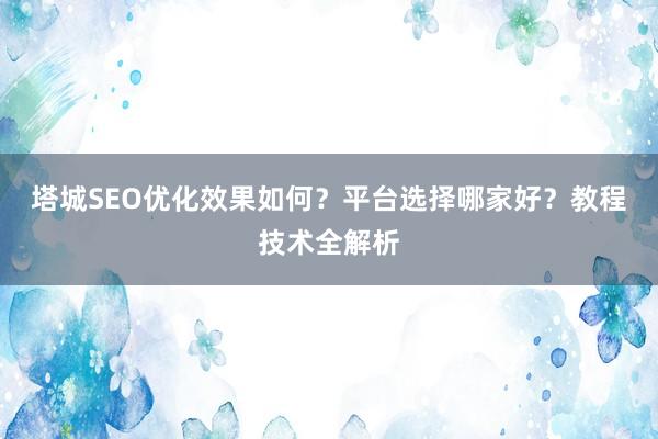 塔城SEO优化效果如何？平台选择哪家好？教程技术全解析