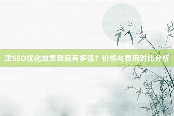 津SEO优化效果到底有多强？价格与费用对比分析