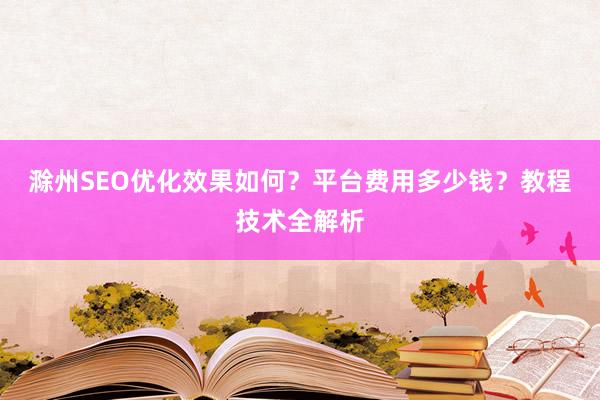 滁州SEO优化效果如何？平台费用多少钱？教程技术全解析