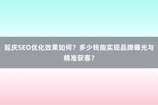 延庆SEO优化效果如何？多少钱能实现品牌曝光与精准获客？