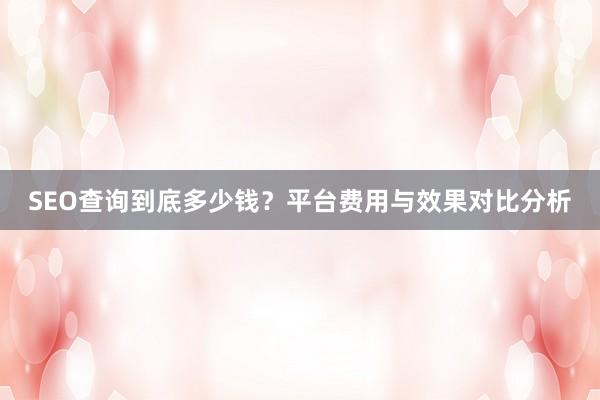 SEO查询到底多少钱？平台费用与效果对比分析
