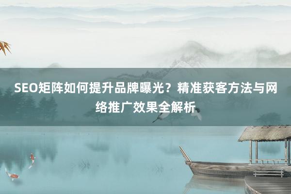SEO矩阵如何提升品牌曝光？精准获客方法与网络推广效果全解析