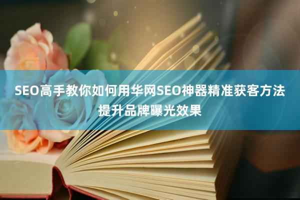SEO高手教你如何用华网SEO神器精准获客方法提升品牌曝光效果