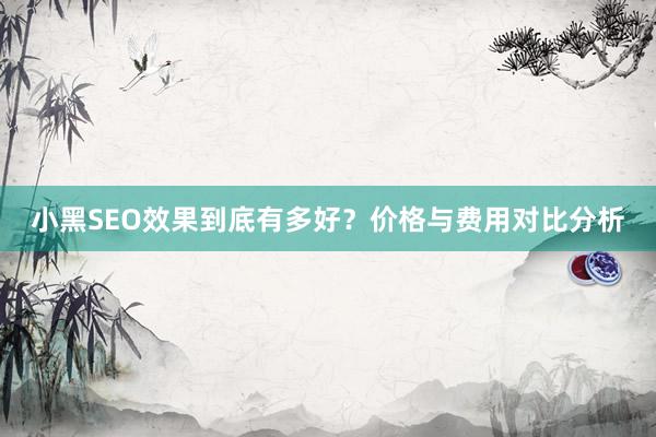 小黑SEO效果到底有多好？价格与费用对比分析