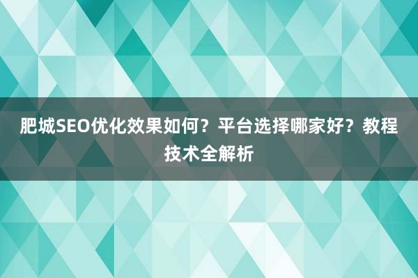 肥城SEO优化效果如何？平台选择哪家好？教程技术全解析