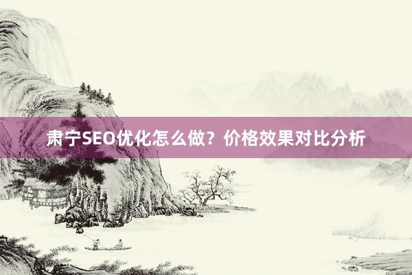 肃宁SEO优化怎么做？价格效果对比分析