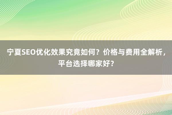 宁夏SEO优化效果究竟如何？价格与费用全解析，平台选择哪家好？