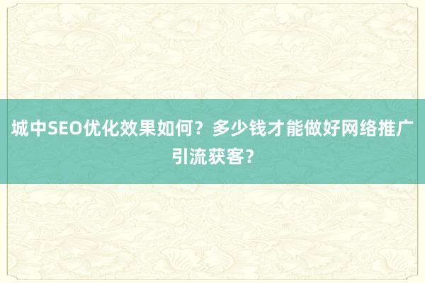 城中SEO优化效果如何？多少钱才能做好网络推广引流获客？
