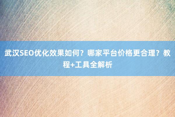 武汉SEO优化效果如何？哪家平台价格更合理？教程+工具全解析