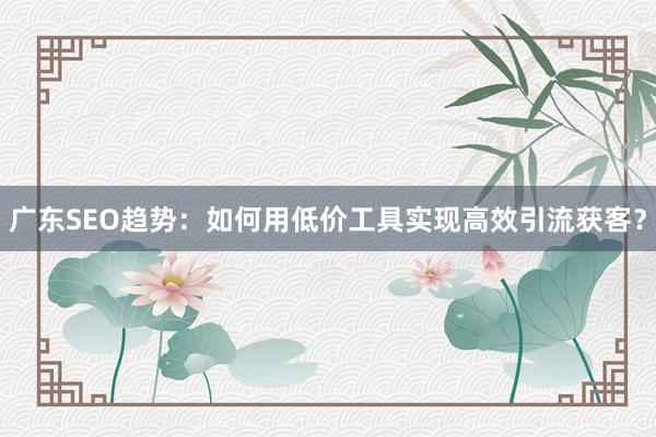 广东SEO趋势：如何用低价工具实现高效引流获客？