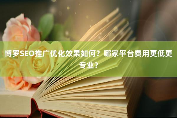 博罗SEO推广优化效果如何？哪家平台费用更低更专业？