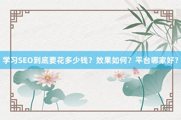 学习SEO到底要花多少钱？效果如何？平台哪家好？
