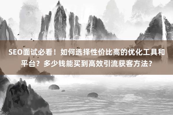SEO面试必看！如何选择性价比高的优化工具和平台？多少钱能买到高效引流获客方法？