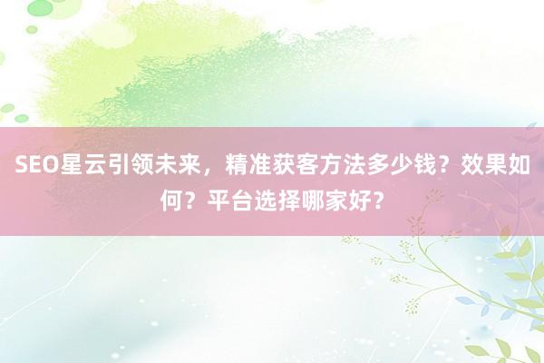SEO星云引领未来，精准获客方法多少钱？效果如何？平台选择哪家好？