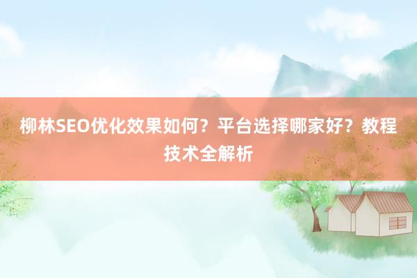 柳林SEO优化效果如何？平台选择哪家好？教程技术全解析