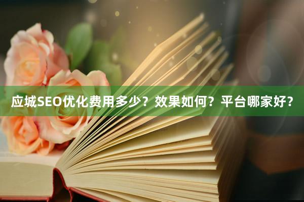 应城SEO优化费用多少？效果如何？平台哪家好？