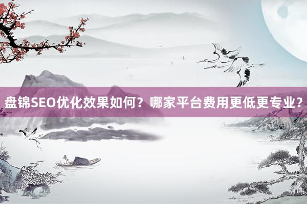 盘锦SEO优化效果如何？哪家平台费用更低更专业？