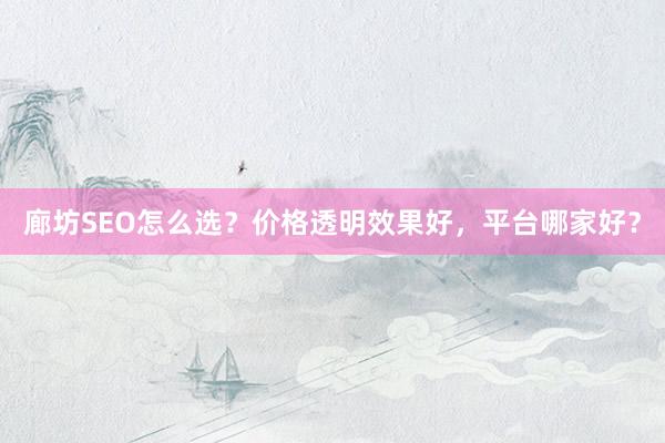廊坊SEO怎么选？价格透明效果好，平台哪家好？
