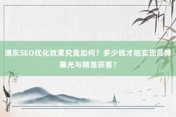 浦东SEO优化效果究竟如何？多少钱才能实现品牌曝光与精准获客？