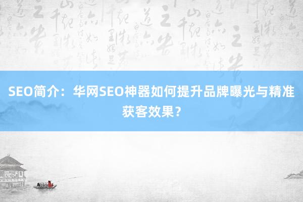 SEO简介：华网SEO神器如何提升品牌曝光与精准获客效果？