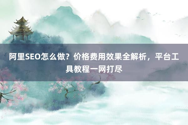 阿里SEO怎么做？价格费用效果全解析，平台工具教程一网打尽