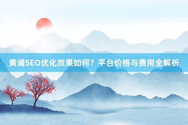 黄浦SEO优化效果如何？平台价格与费用全解析