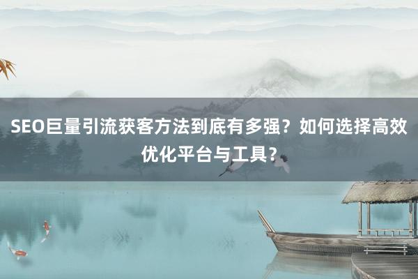 SEO巨量引流获客方法到底有多强？如何选择高效优化平台与工具？
