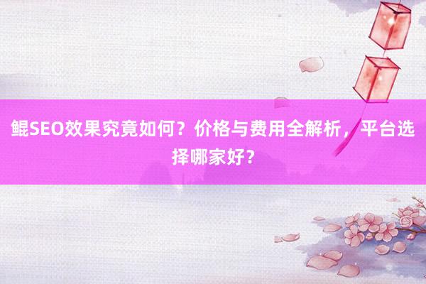 鲲SEO效果究竟如何？价格与费用全解析，平台选择哪家好？