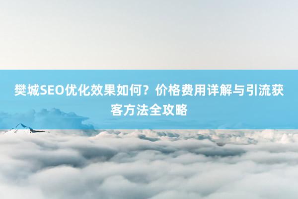 樊城SEO优化效果如何？价格费用详解与引流获客方法全攻略