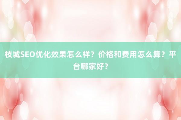 枝城SEO优化效果怎么样？价格和费用怎么算？平台哪家好？