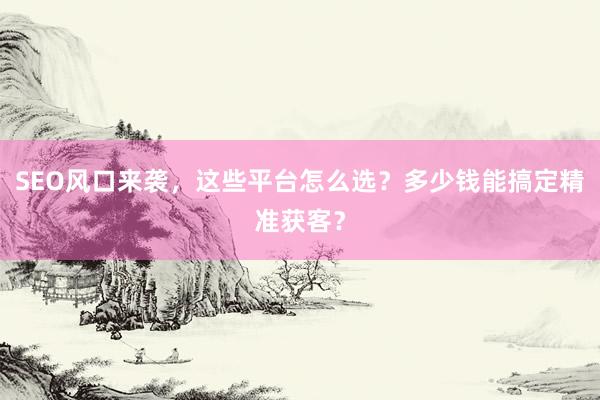 SEO风口来袭，这些平台怎么选？多少钱能搞定精准获客？