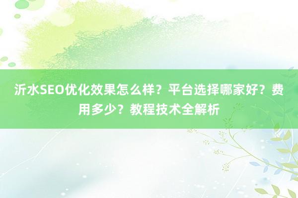 沂水SEO优化效果怎么样？平台选择哪家好？费用多少？教程技术全解析