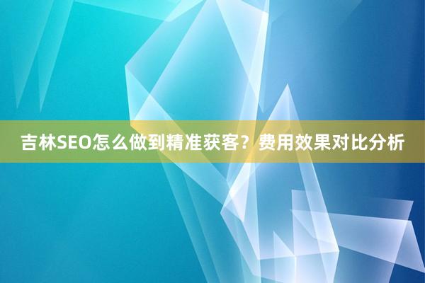 吉林SEO怎么做到精准获客？费用效果对比分析