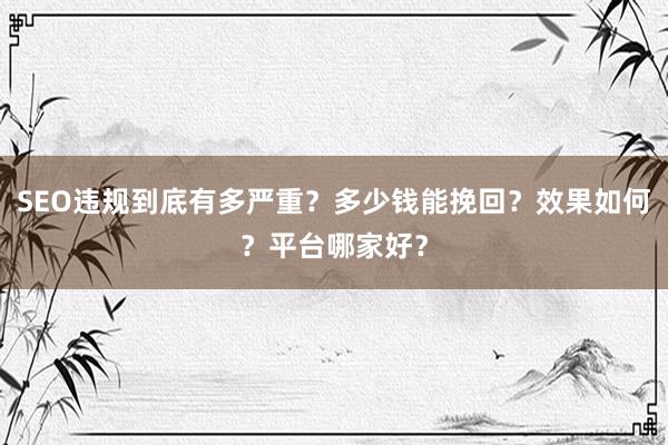 SEO违规到底有多严重？多少钱能挽回？效果如何？平台哪家好？